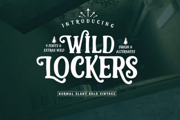 Wild Lockers Font for Campaign Headlines That Demand Attention